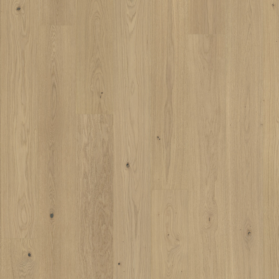 ROBLE SANDED