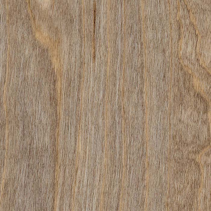 BLEACHED ELM