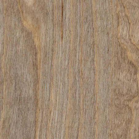 BLEACHED ELM