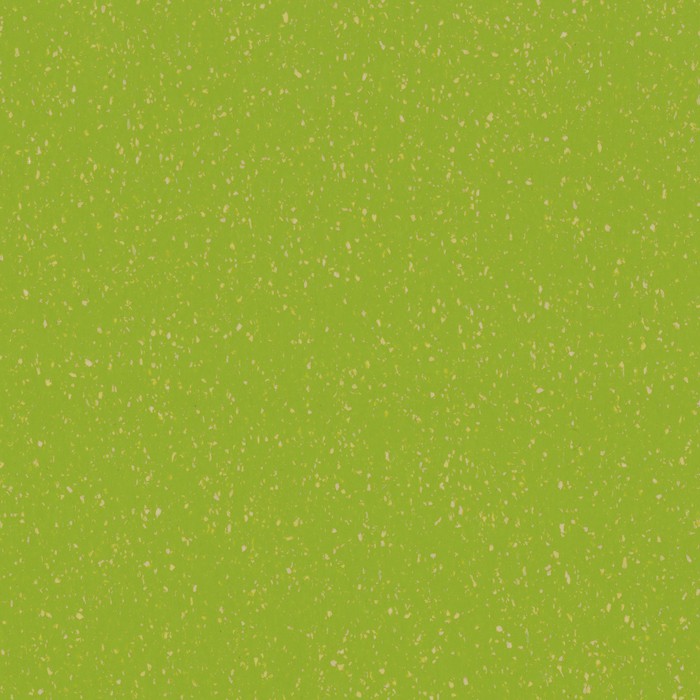 CEDAR