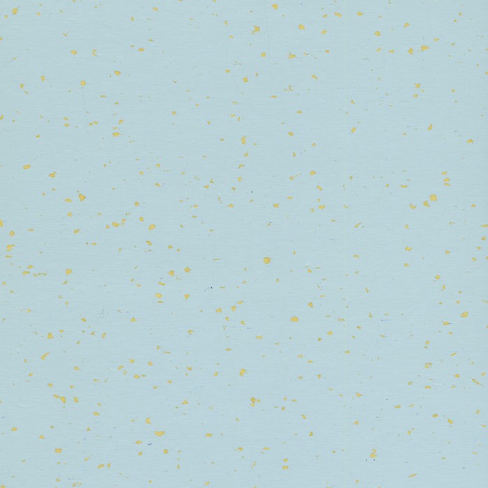 GRAIN Nº17