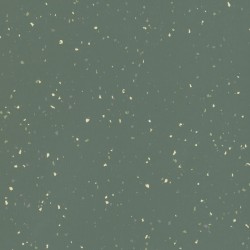 GRAIN Nº19