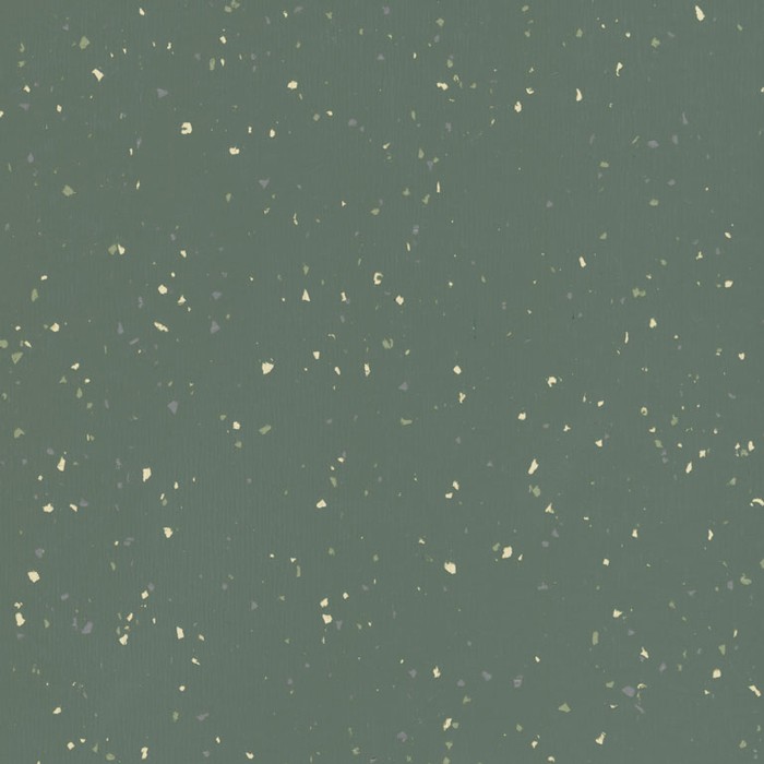 GRAIN Nº19