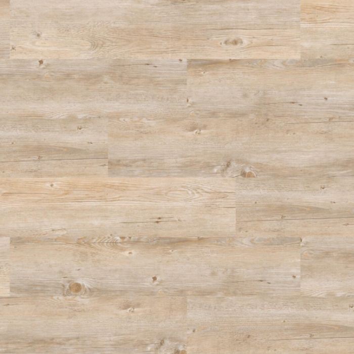 ALASKA OAK